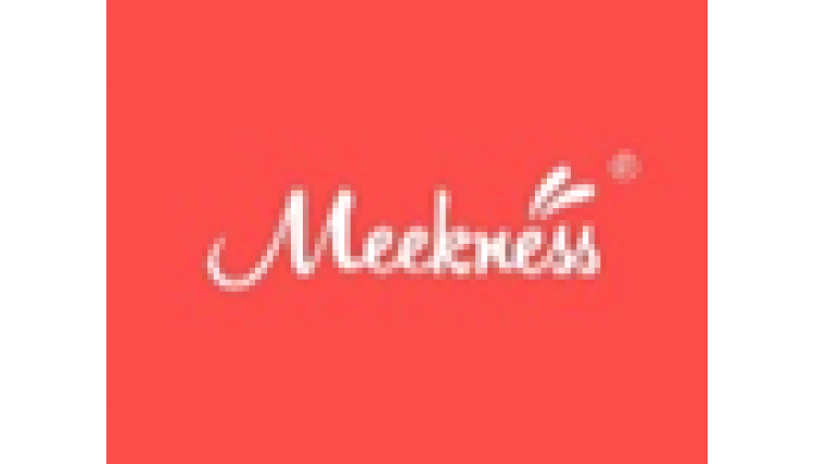 meekness,12类-运输工具- 创优优商标库