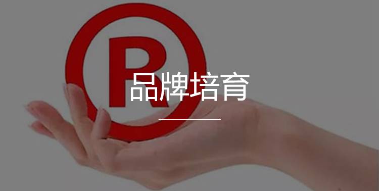 广东省著名商标认定和管理暂行办法