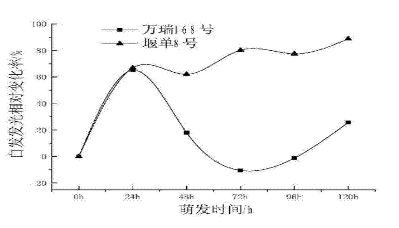 一種基于自發(fā)發(fā)光的玉米種子萌發(fā)期抗旱性評價(jià)方法