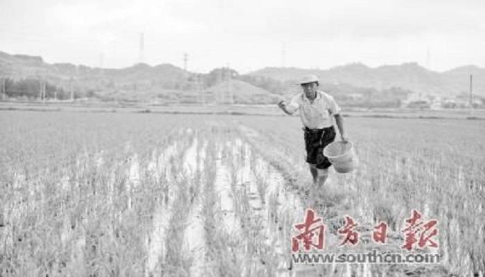 惠州打响农业面源污染歼灭战