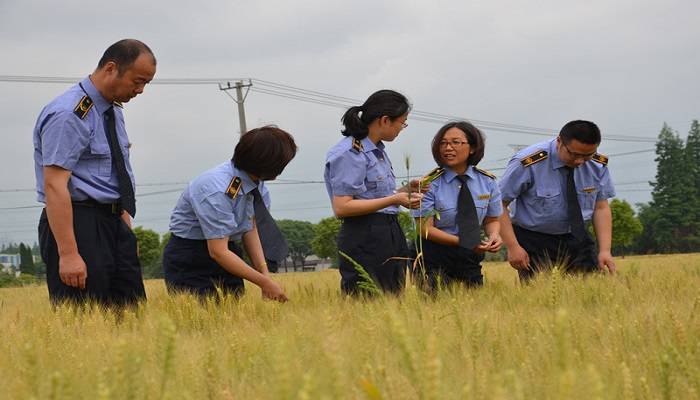 苏州市农委植保植检部门全面启动2018年重大植物疫情阻截带监测工作