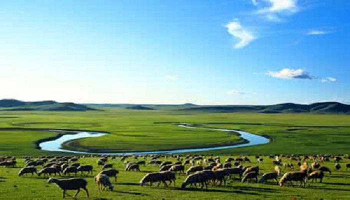 苏州市政府出台新举措推进生态畜牧业建设