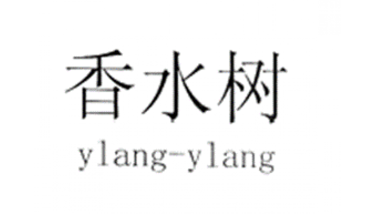 香水樹(shù)
YLANGYLANG