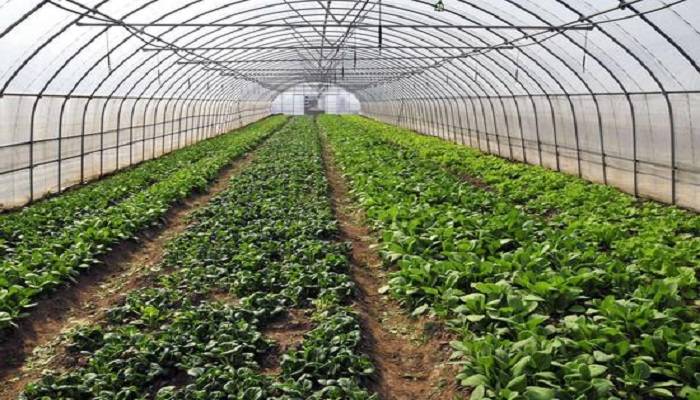 农业农村部：粮食安全基础夯实 农民收入持续增长