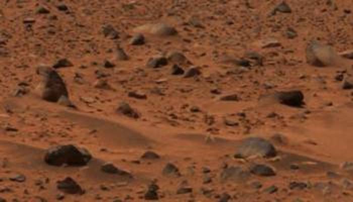 “火星农田”产量高，但食品安全尚难保证
