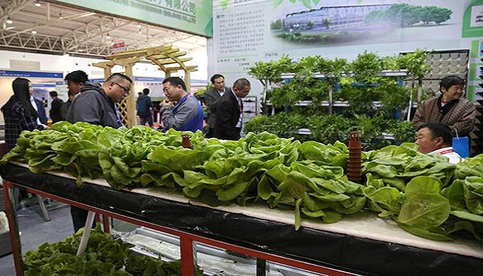 第十届广东现代农业博览会交易额达62亿元