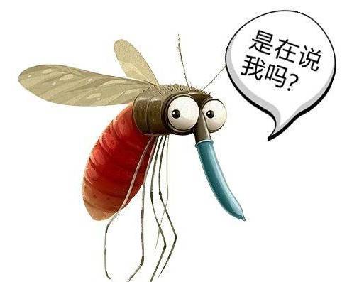 用核技术灭蚊子，中山大学“蚊子工厂”为世界灭蚊贡献力量
